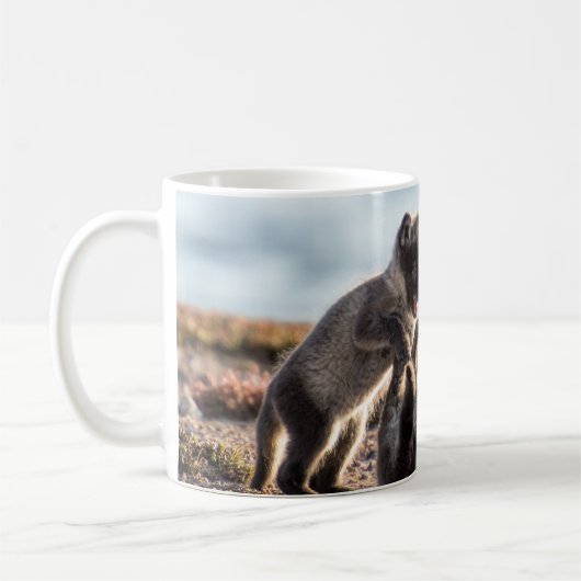 Frühjahr - Arctic Fox Kaffeetasse (Links)