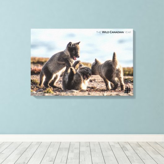 Frühjahr - Arctic Fox Leinwanddruck (Insitu (Holzboden))