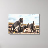 Frühjahr - Arctic Fox Leinwanddruck (Vorderseite)