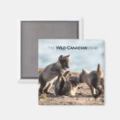 Frühjahr - Arctic Fox Magnet (Vorderseite/Rückseite)