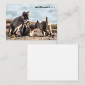 Frühjahr - Arctic Fox Mitteilungskarte (Vorne/Hinten)