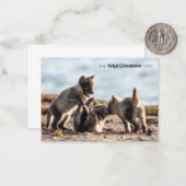 Frühjahr - Arctic Fox Mitteilungskarte (Vorderseite/Rückseite Beispiel)