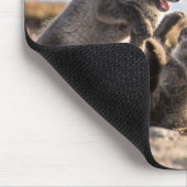 Frühjahr - Arctic Fox Mousepad (Ecke)