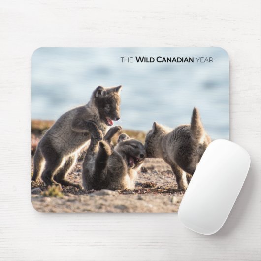 Frühjahr - Arctic Fox Mousepad (Mit Mouse)