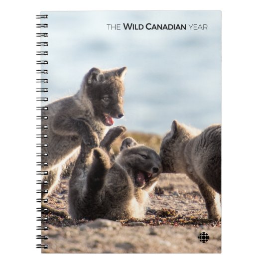 Frühjahr - Arctic Fox Notizblock (Vorderseite)