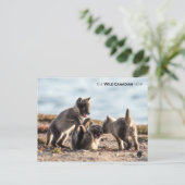 Frühjahr - Arctic Fox Postkarte (Stehend Vorderseite)