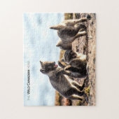 Frühjahr - Arctic Fox Puzzle (Vertikal)