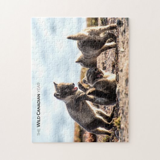 Frühjahr - Arctic Fox Puzzle (Vertikal)