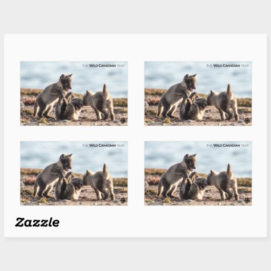 Frühjahr - Arctic Fox Rechteckiger Aufkleber (Blatt)