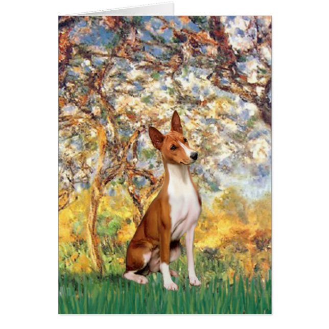 Frühjahr - Basenji (Vorne)