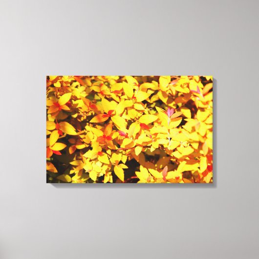 Frühjahr bei Arboretum 6 Leinwanddruck (Vorderseite)