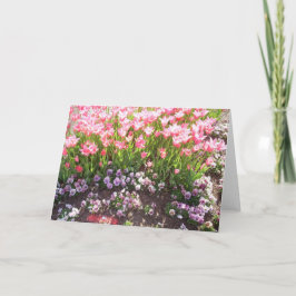 Frühjahr blüht zwei feiertagskarte