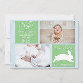 Frühjahr Bunny Rabbit Geburtsankündigung Einladung (Vorderseite)