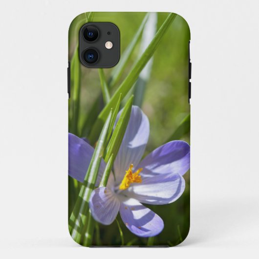 Frühjahr Case-Mate iPhone Hülle (Rückseite)