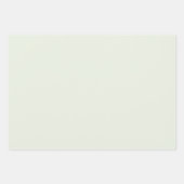 Frühjahr Flüstern Grün Solid Farbe Geschenkpapier Set (Vorderseite 2)