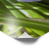 Frühjahr Fotodruck (Ecke)