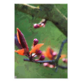 Frühjahr Fotodruck (Vorne)