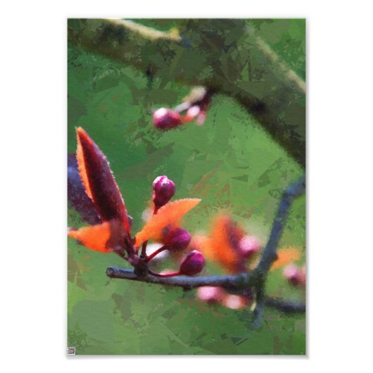 Frühjahr Fotodruck (Vorne)