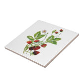 Frühjahr Fresh Strawberries Stickerei Fliese (Seite)