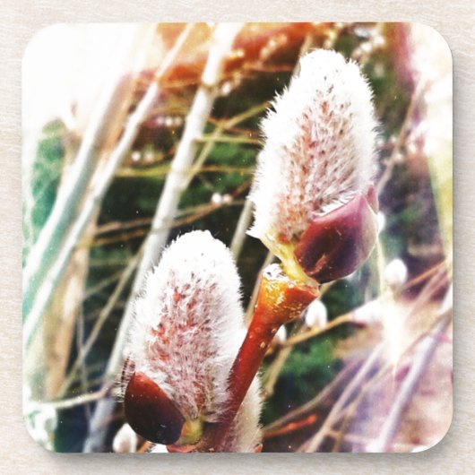 Frühjahr Getränkeuntersetzer (Vorderseite)