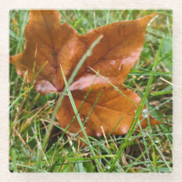 Frühjahr Glasuntersetzer