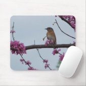 Frühjahr-Grüße Mousepad (Mit Mouse)