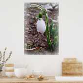 Frühjahr im Februar Poster (Küche)