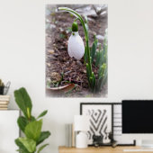 Frühjahr im Februar Poster (Heimbüro)