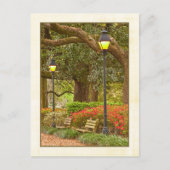 Frühjahr in Forsyth Park - Savannah, GA Postkarte (Vorderseite)