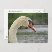 Frühjahr in Framingham 2 Postkarte (Vorne/Hinten)