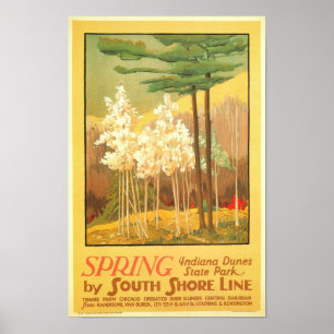 Frühjahr in Indiana Dunes Staat Park Poster
