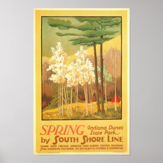 Frühjahr in Indiana Dunes Staat Park Poster (Vorne)