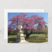 Frühjahr in Paris Postkarte (Vorne/Hinten)