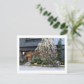 Frühjahr in Tokio Postkarte (Stehend Vorderseite)