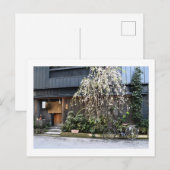 Frühjahr in Tokio Postkarte (Vorne/Hinten)
