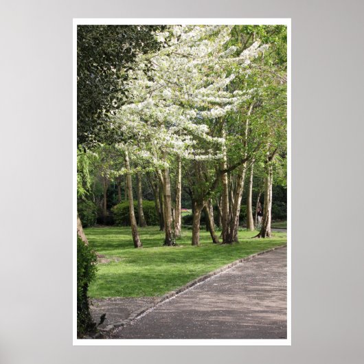 Frühjahr Irland Poster (Vorne)