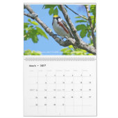 Frühjahr-Juwelen - Trällerer-Kalender Kalender (Mär 2027)