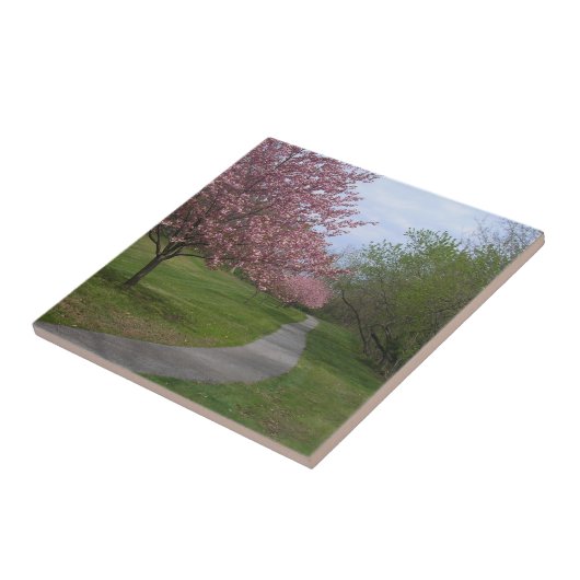 Frühjahr!Keramik Tile Fliese (Seite)