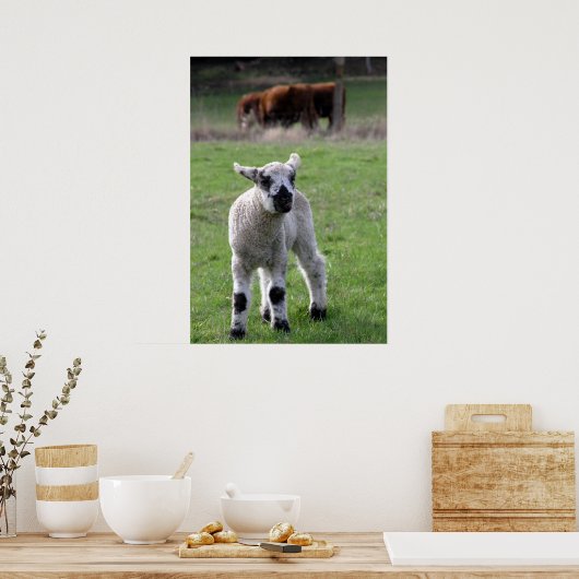Frühjahr Lamb - Kunstdrucke Poster (Küche)