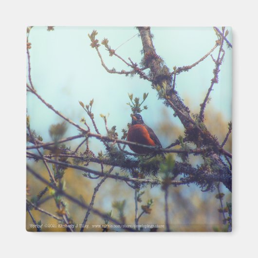 Frühjahr Magnet (Vorne)