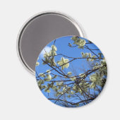 Frühjahr Magnet (Vorderseite/Rückseite)