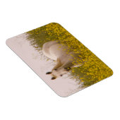 Frühjahr Magnet (Rechte Seite)