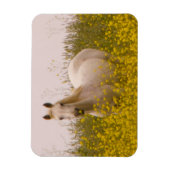 Frühjahr Magnet (Vertikal)