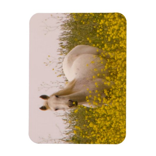 Frühjahr Magnet (Vertikal)