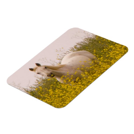 Frühjahr Magnet (Linke Seite)