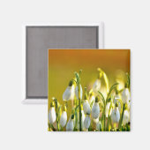 Frühjahr - Magnet (Vorderseite/Rückseite)