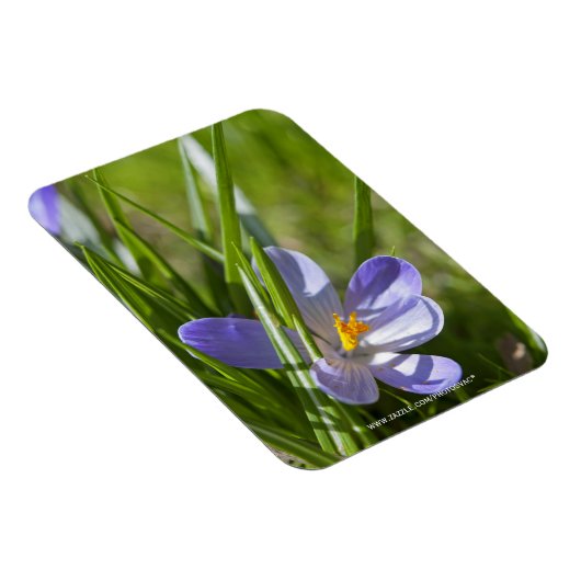 Frühjahr Magnet (Rechte Seite)