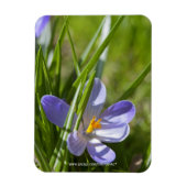 Frühjahr Magnet (Vertikal)