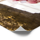 Frühjahr - Magnolien Poster (Ecke)