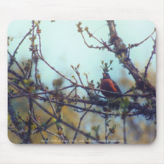 Frühjahr Mousepad (Vorne)